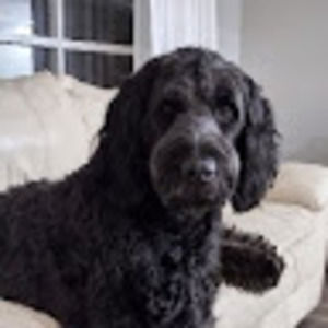 Meet your Posher, Jim